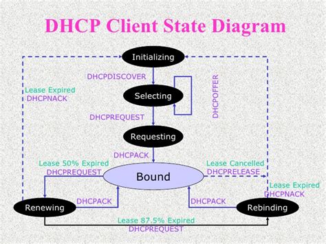 dhcp lease renewal process